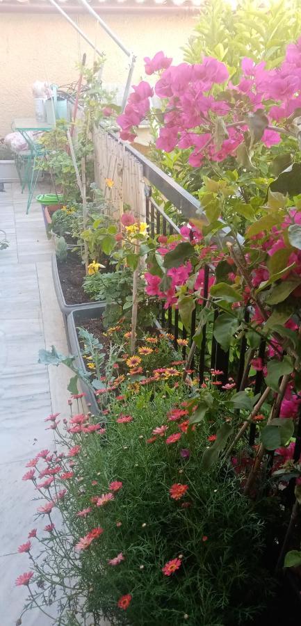 Aegina'S Flowers House Extérieur photo