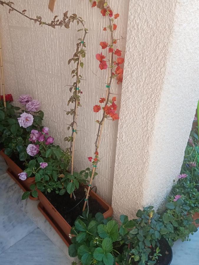 Aegina'S Flowers House Extérieur photo